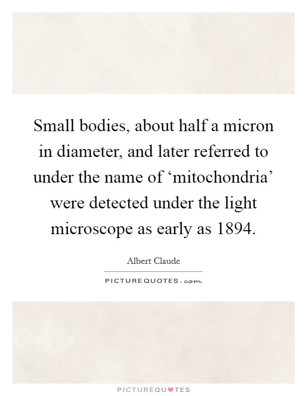 Small bodies, about half a micron in diameter, and later referred to under the name of ‘mitochondria' were detected under the light microscope as early as 1894. Picture Quote #1