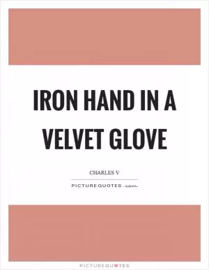 Iron hand in a velvet glove Picture Quote #1