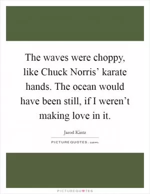 The waves were choppy, like Chuck Norris’ karate hands. The ocean would have been still, if I weren’t making love in it Picture Quote #1