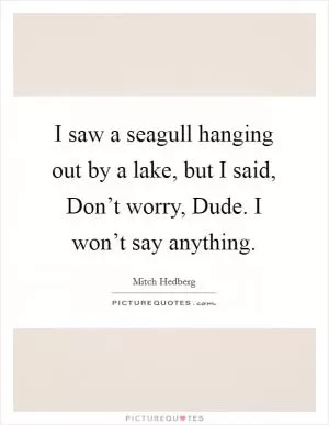 I saw a seagull hanging out by a lake, but I said, Don’t worry, Dude. I won’t say anything Picture Quote #1