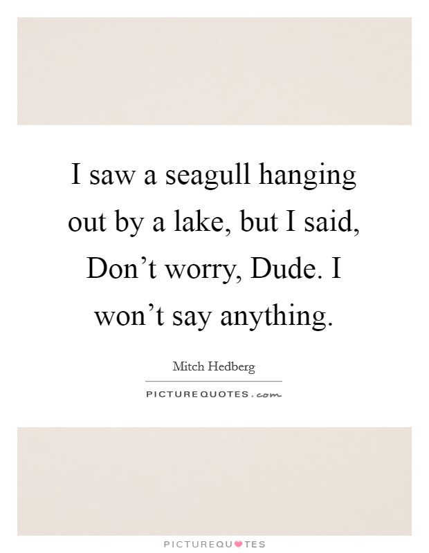 I saw a seagull hanging out by a lake, but I said, Don't worry, Dude. I won't say anything. Picture Quote #1