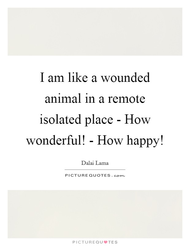 I am like a wounded animal in a remote isolated place - How wonderful! - How happy! Picture Quote #1