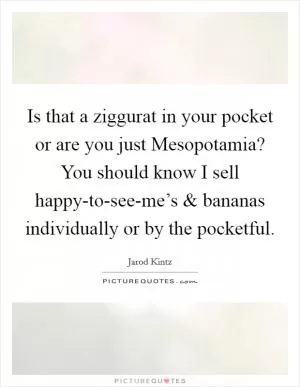 Is that a ziggurat in your pocket or are you just Mesopotamia? You should know I sell happy-to-see-me’s and bananas individually or by the pocketful Picture Quote #1