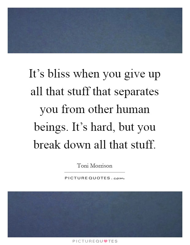 It's bliss when you give up all that stuff that separates you from other human beings. It's hard, but you break down all that stuff. Picture Quote #1