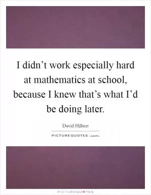 I didn’t work especially hard at mathematics at school, because I knew that’s what I’d be doing later Picture Quote #1