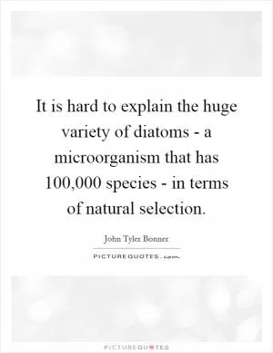 It is hard to explain the huge variety of diatoms - a microorganism that has 100,000 species - in terms of natural selection Picture Quote #1