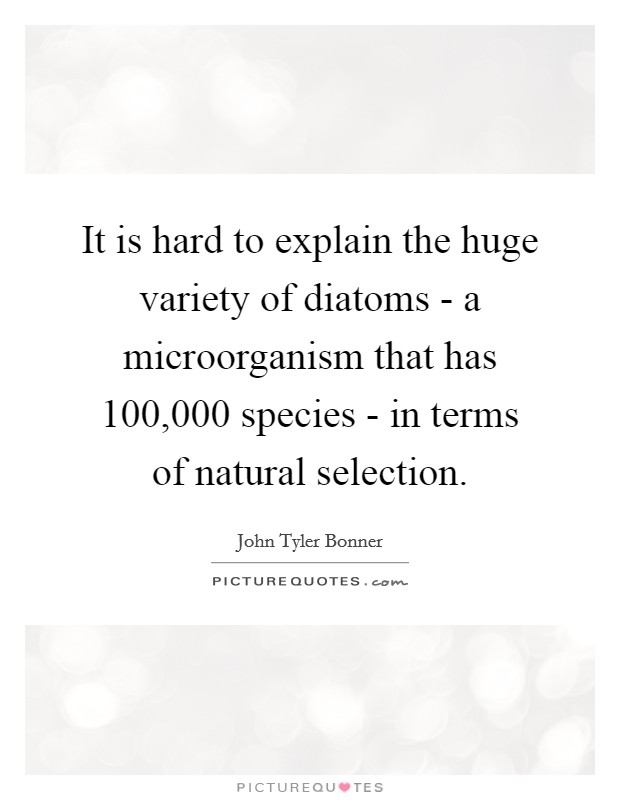 It is hard to explain the huge variety of diatoms - a microorganism that has 100,000 species - in terms of natural selection. Picture Quote #1
