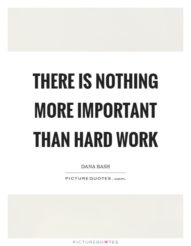 There is nothing more important than hard work Picture Quote #1