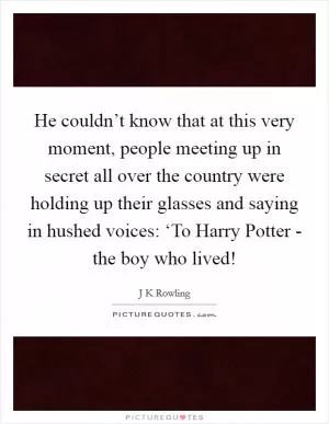 He couldn’t know that at this very moment, people meeting up in secret all over the country were holding up their glasses and saying in hushed voices: ‘To Harry Potter - the boy who lived! Picture Quote #1