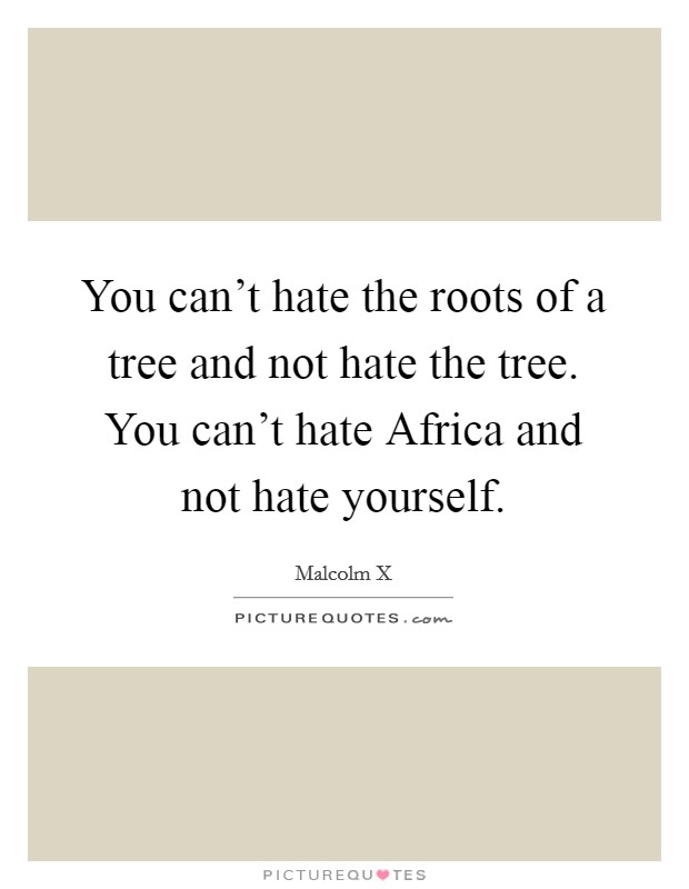 You can't hate the roots of a tree and not hate the tree. You can't hate Africa and not hate yourself. Picture Quote #1