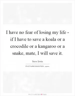 I have no fear of losing my life - if I have to save a koala or a crocodile or a kangaroo or a snake, mate, I will save it Picture Quote #1