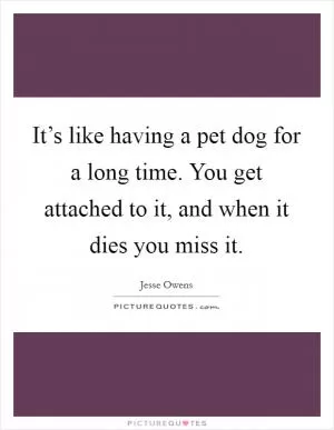 It’s like having a pet dog for a long time. You get attached to it, and when it dies you miss it Picture Quote #1