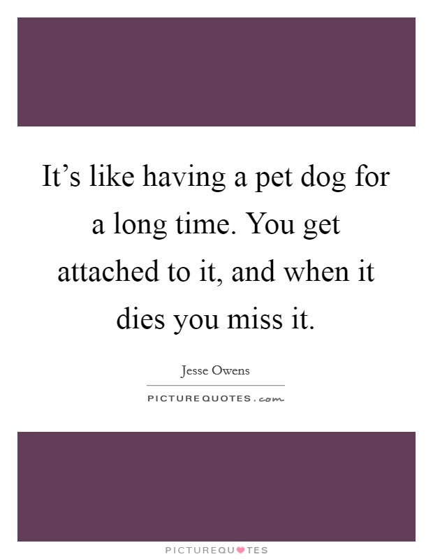It's like having a pet dog for a long time. You get attached to it, and when it dies you miss it. Picture Quote #1