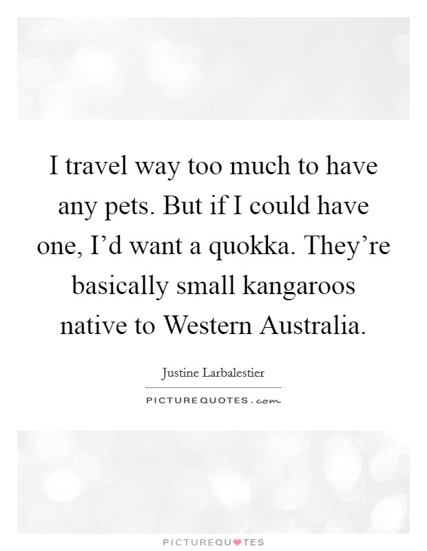 I travel way too much to have any pets. But if I could have one, I'd want a quokka. They're basically small kangaroos native to Western Australia. Picture Quote #1