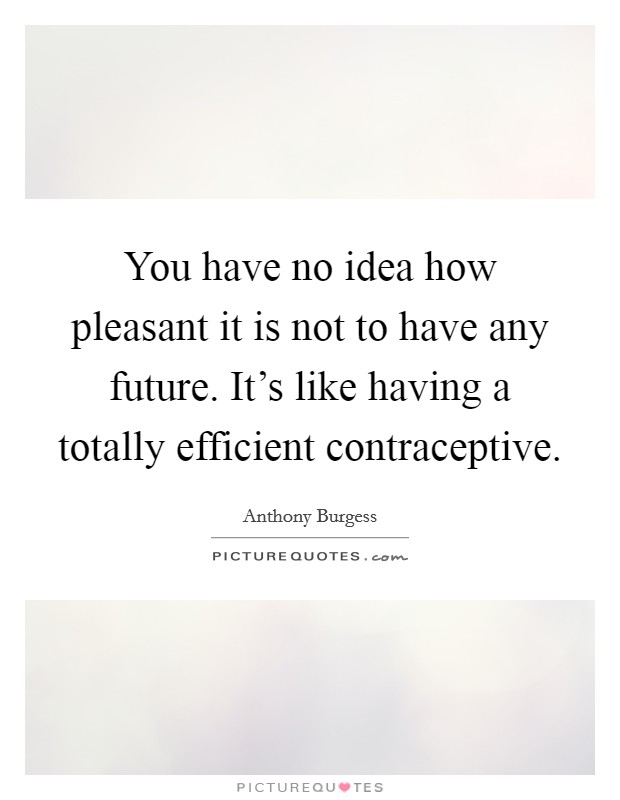 You have no idea how pleasant it is not to have any future. It's like having a totally efficient contraceptive. Picture Quote #1