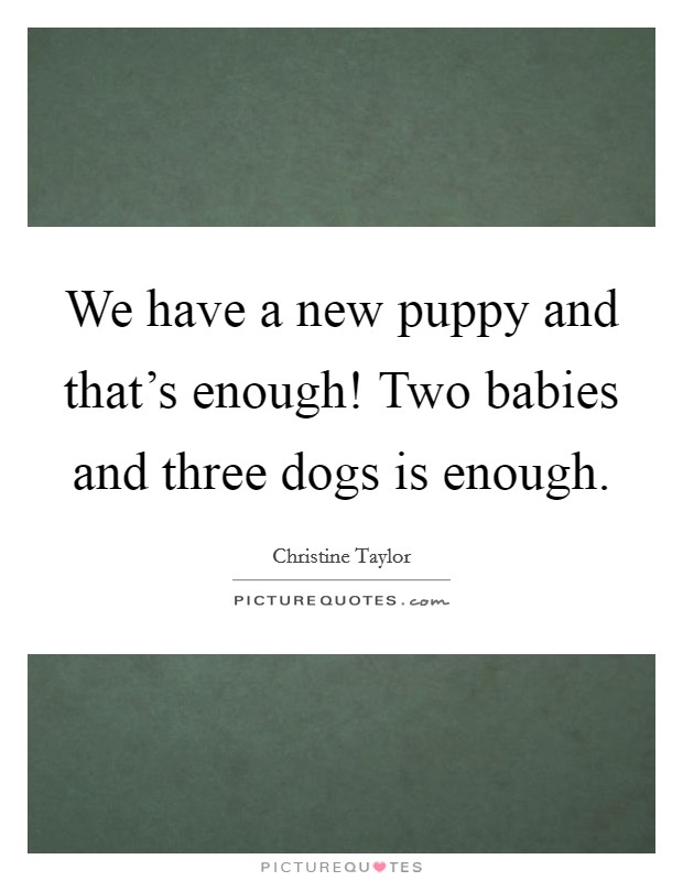 We have a new puppy and that's enough! Two babies and three dogs is enough. Picture Quote #1
