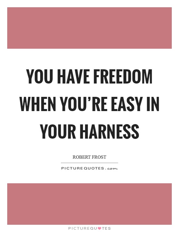 You have freedom when you're easy in your harness Picture Quote #1
