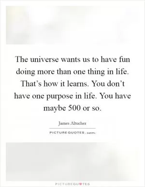 The universe wants us to have fun doing more than one thing in life. That’s how it learns. You don’t have one purpose in life. You have maybe 500 or so Picture Quote #1