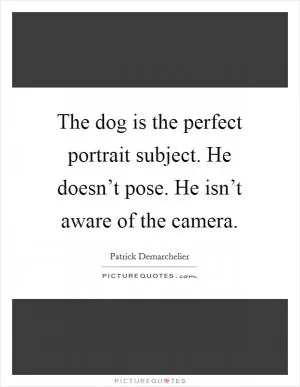 The dog is the perfect portrait subject. He doesn’t pose. He isn’t aware of the camera Picture Quote #1