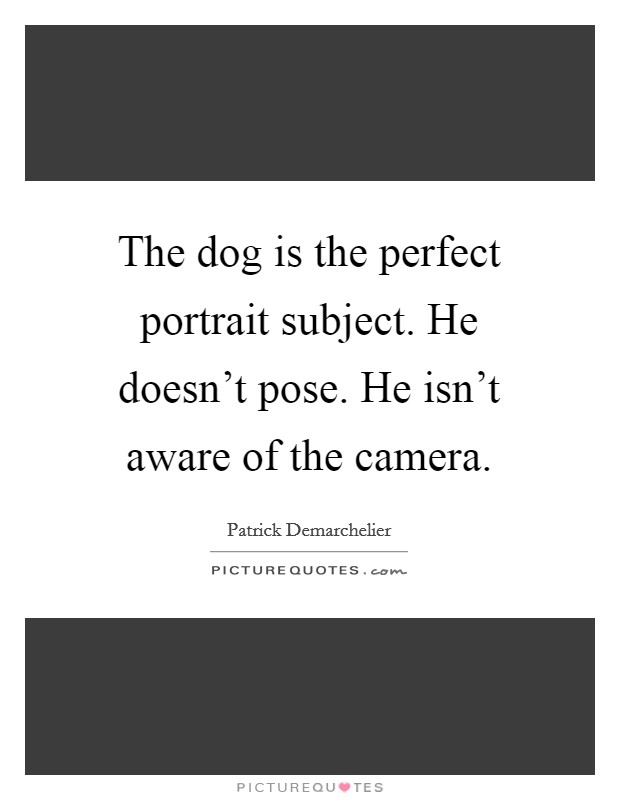 The dog is the perfect portrait subject. He doesn't pose. He isn't aware of the camera. Picture Quote #1