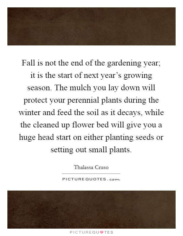 Fall is not the end of the gardening year; it is the start of next year's growing season. The mulch you lay down will protect your perennial plants during the winter and feed the soil as it decays, while the cleaned up flower bed will give you a huge head start on either planting seeds or setting out small plants. Picture Quote #1