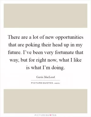 There are a lot of new opportunities that are poking their head up in my future. I’ve been very fortunate that way, but for right now, what I like is what I’m doing Picture Quote #1
