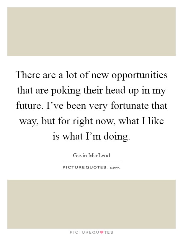 There are a lot of new opportunities that are poking their head up in my future. I've been very fortunate that way, but for right now, what I like is what I'm doing. Picture Quote #1
