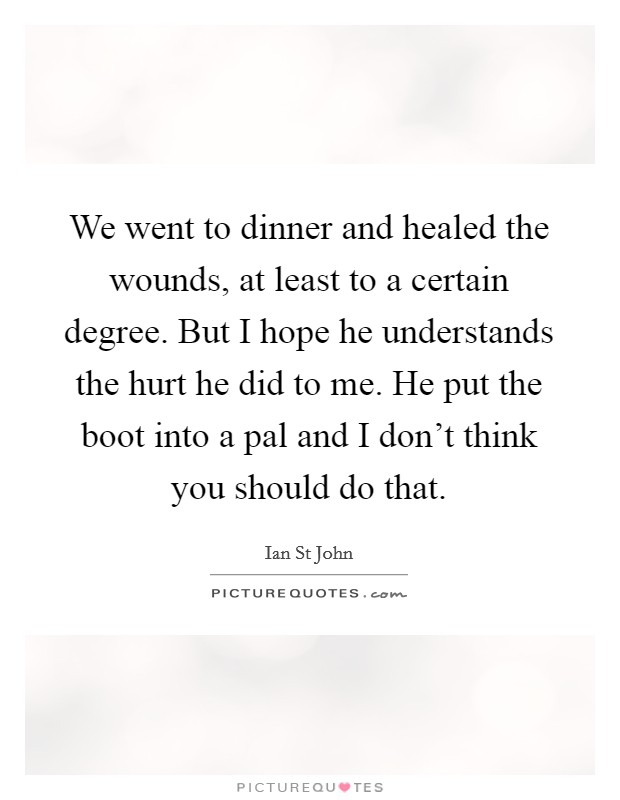 We went to dinner and healed the wounds, at least to a certain degree. But I hope he understands the hurt he did to me. He put the boot into a pal and I don't think you should do that. Picture Quote #1