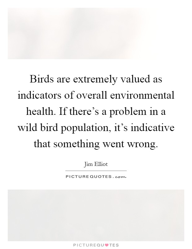 Birds are extremely valued as indicators of overall environmental health. If there's a problem in a wild bird population, it's indicative that something went wrong. Picture Quote #1