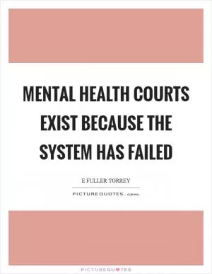Mental health courts exist because the system has failed Picture Quote #1