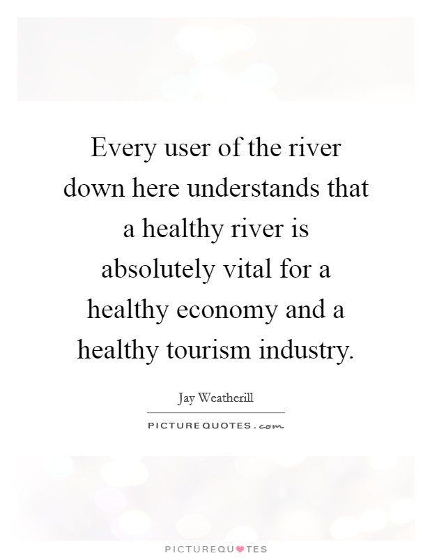 Every user of the river down here understands that a healthy river is absolutely vital for a healthy economy and a healthy tourism industry. Picture Quote #1