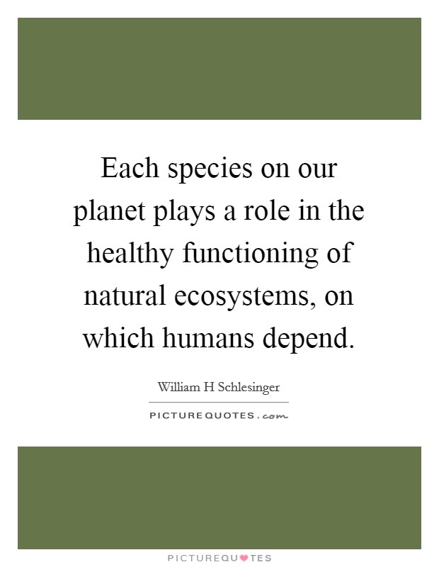 Each species on our planet plays a role in the healthy functioning of natural ecosystems, on which humans depend. Picture Quote #1