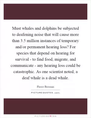 Must whales and dolphins be subjected to deafening noise that will cause more than 3.5 million instances of temporary and/or permanent hearing loss? For species that depend on hearing for survival - to find food, migrate, and communicate - any hearing loss could be catastrophic. As one scientist noted, a deaf whale is a dead whale Picture Quote #1