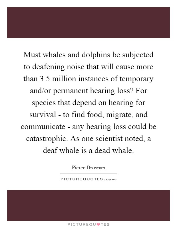 Must whales and dolphins be subjected to deafening noise that will cause more than 3.5 million instances of temporary and/or permanent hearing loss? For species that depend on hearing for survival - to find food, migrate, and communicate - any hearing loss could be catastrophic. As one scientist noted, a deaf whale is a dead whale. Picture Quote #1