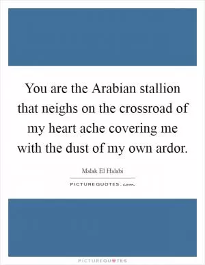You are the Arabian stallion that neighs on the crossroad of my heart ache covering me with the dust of my own ardor Picture Quote #1