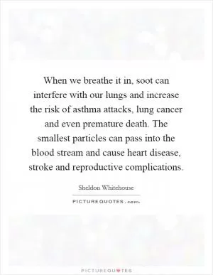 When we breathe it in, soot can interfere with our lungs and increase the risk of asthma attacks, lung cancer and even premature death. The smallest particles can pass into the blood stream and cause heart disease, stroke and reproductive complications Picture Quote #1