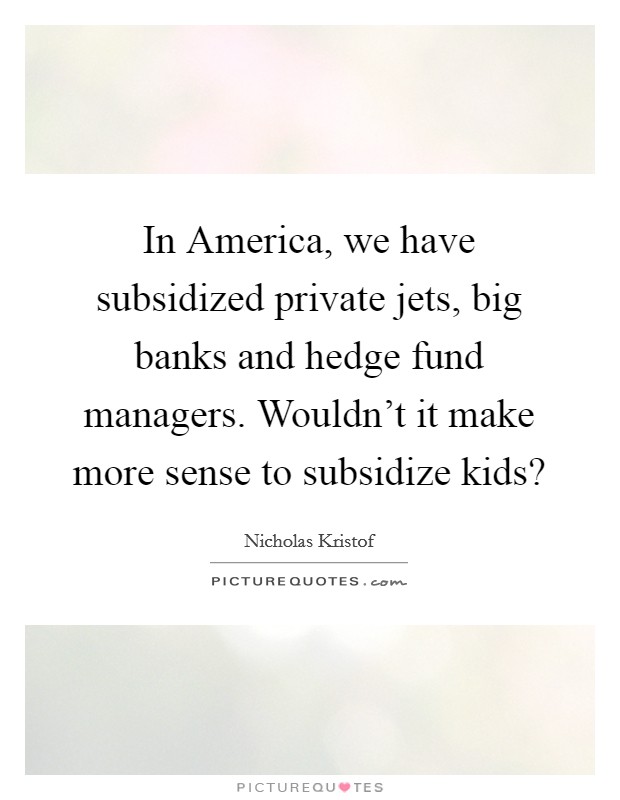 In America, we have subsidized private jets, big banks and hedge fund managers. Wouldn't it make more sense to subsidize kids? Picture Quote #1