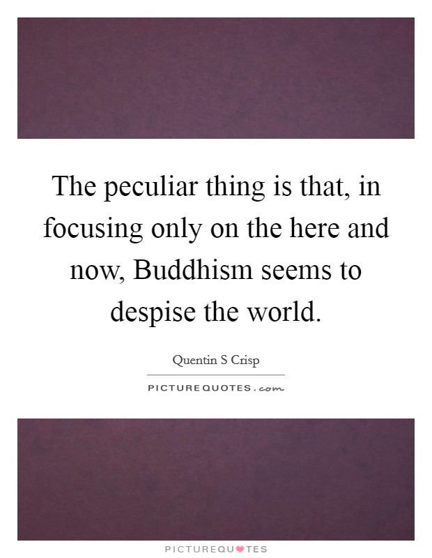 The peculiar thing is that, in focusing only on the here and now, Buddhism seems to despise the world. Picture Quote #1