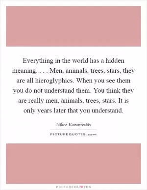 Everything in the world has a hidden meaning. . . . Men, animals, trees, stars, they are all hieroglyphics. When you see them you do not understand them. You think they are really men, animals, trees, stars. It is only years later that you understand Picture Quote #1